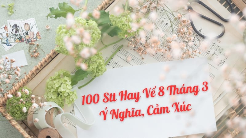 Tổng Hợp 100 Stt Hay Về 8 Tháng 3 Ý Nghĩa, Cảm Xúc Nhất