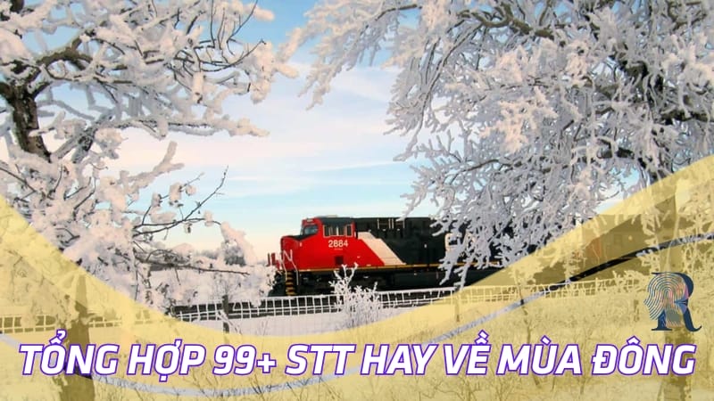 Tổng hợp 99+ STT hay về mùa đông ý nghĩa, tâm trạng nhất!