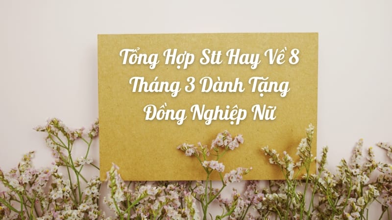 Tổng hợp stt hay về 8 tháng 3 dành tặng đồng nghiệp nữ