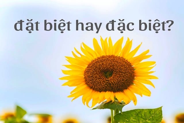 Đặc biệt hay đặt biệt, từ nào viết sai chính tả?