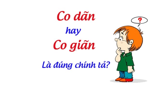 Luyện tập nhận biết từ vựng để phân biệt dãn và giãn