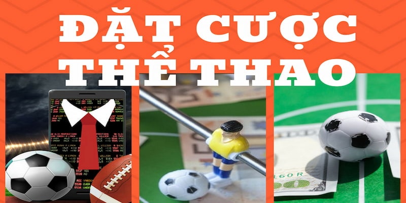 Tổng quan về chuyên mục cá cược thể thao VSWIN