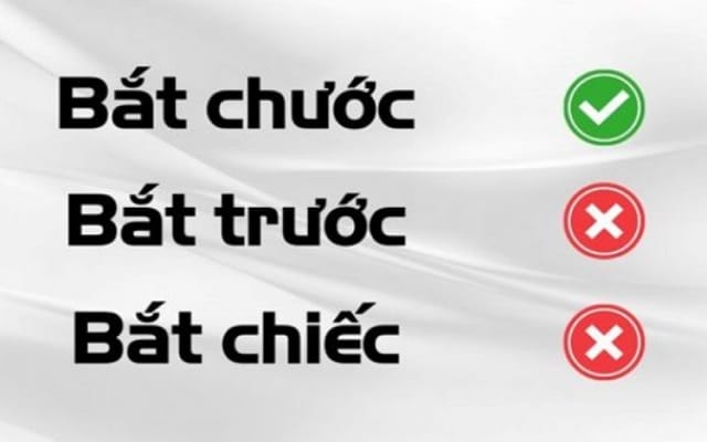 Cách sử dụng từ bắt chước