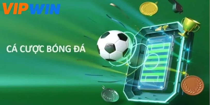 Giới thiệu các loại kèo bóng đá phổ biến trên Vipwin Giới thiệu các loại kèo bóng đá phổ biến trên Vipwin