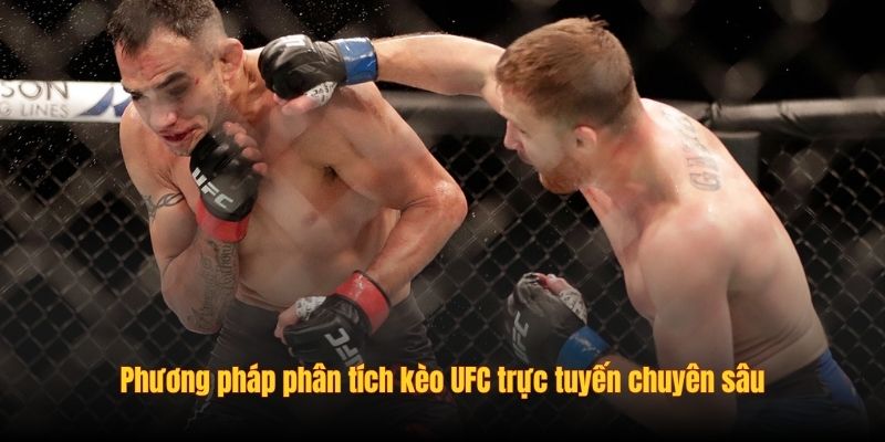 Phương pháp phân tích kèo UFC trực tuyến chuyên sâu
