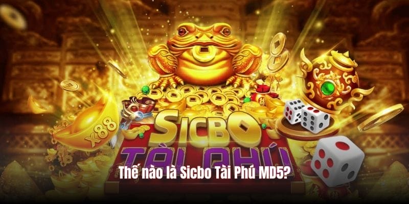 Thế nào là Sicbo Tài Phú MD5? Thế nào là Sicbo Tài Phú MD5?
