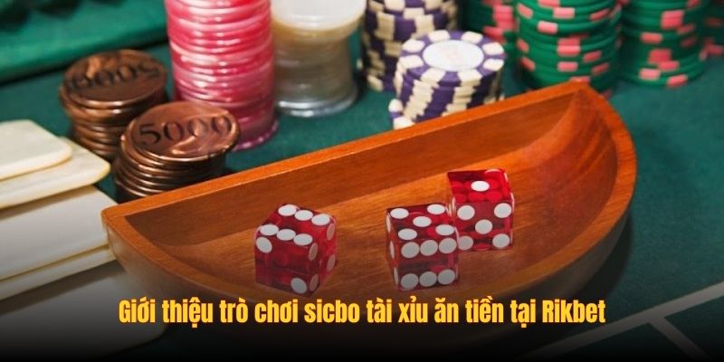 Giới thiệu trò chơi sicbo tài xỉu ăn tiền tại Rikbet Giới thiệu trò chơi sicbo tài xỉu ăn tiền tại Rikbet