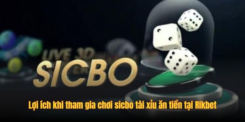Lợi ích khi tham gia chơi sicbo tài xỉu ăn tiền tại Rikbet Lợi ích khi tham gia chơi sicbo tài xỉu ăn tiền tại Rikbet