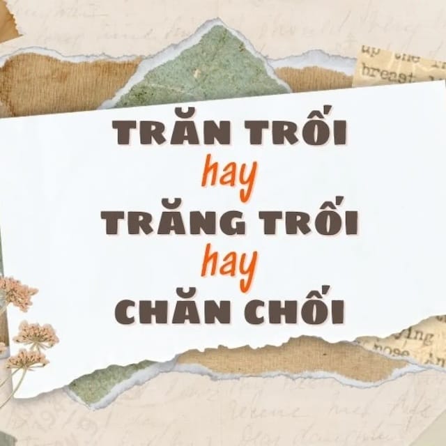 Trăn trối hay chăn chối: Đây đều là hai từ viết sai chính tả
