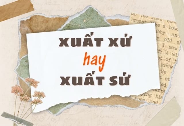 Xuất xứ hay xuất sứ: Từ nào được viết đúng chính tả?