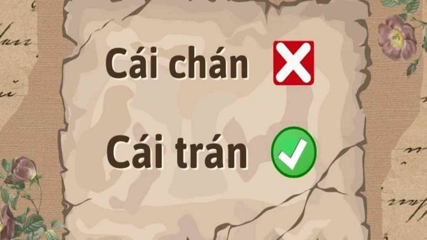 Cách phân biệt chán hay trán hiệu quả