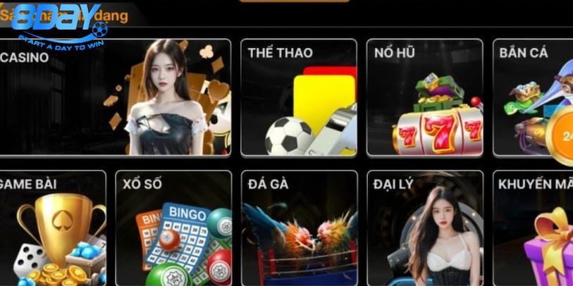 Cách theo dõi biến động tỷ lệ cược tại sảnh Casino 8Day
