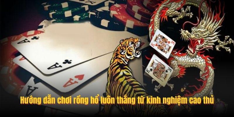 Hướng dẫn chơi Rồng Hổ luôn thắng từ kinh nghiệm cao thủ