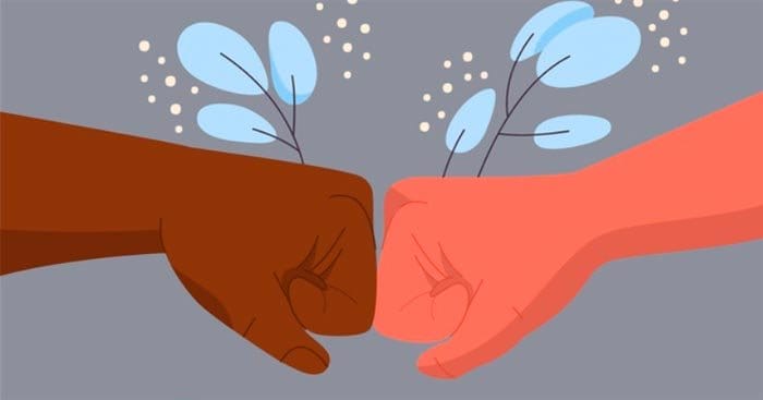 Chủ đề nổi bật nhất được khắc họa trong cuốn tiểu thuyết Giết Con Chim Nhại là nạn phân biệt chủng tộc