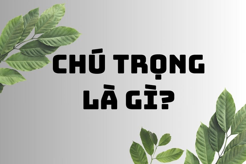 Nghĩa của chú trọng là gì?