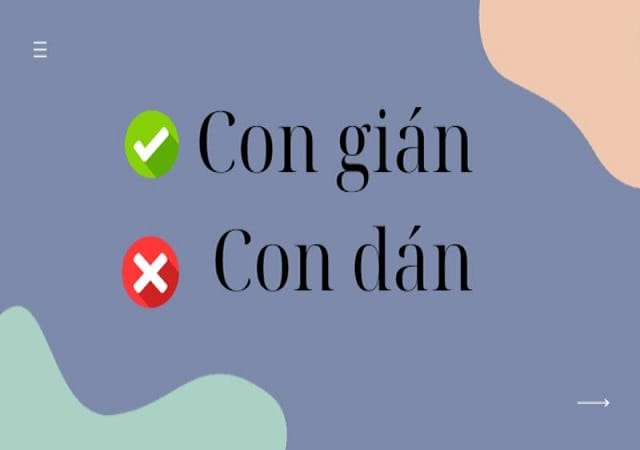 Con gián hay con dán đúng chính tả