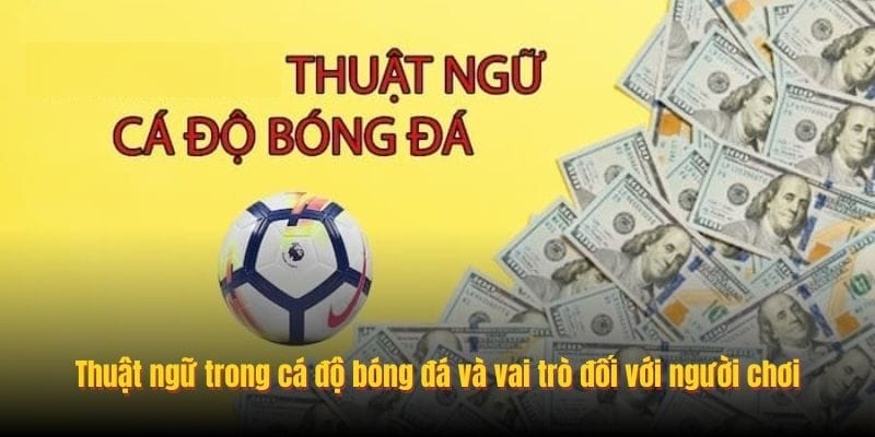 Thuật ngữ trong cá độ bóng đá và vai trò đối với người chơi