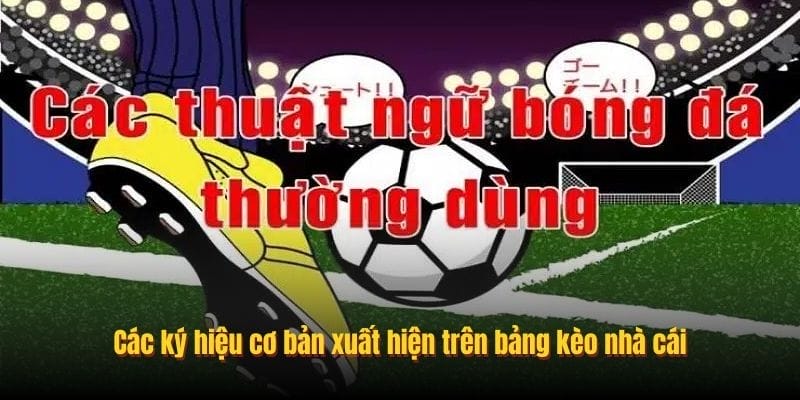 Các ký hiệu cơ bản xuất hiện trên bảng kèo nhà cái