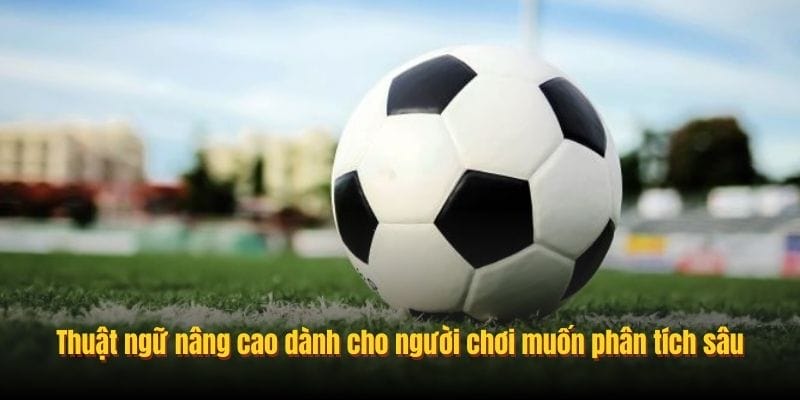 Thuật ngữ nâng cao dành cho người chơi muốn phân tích sâu