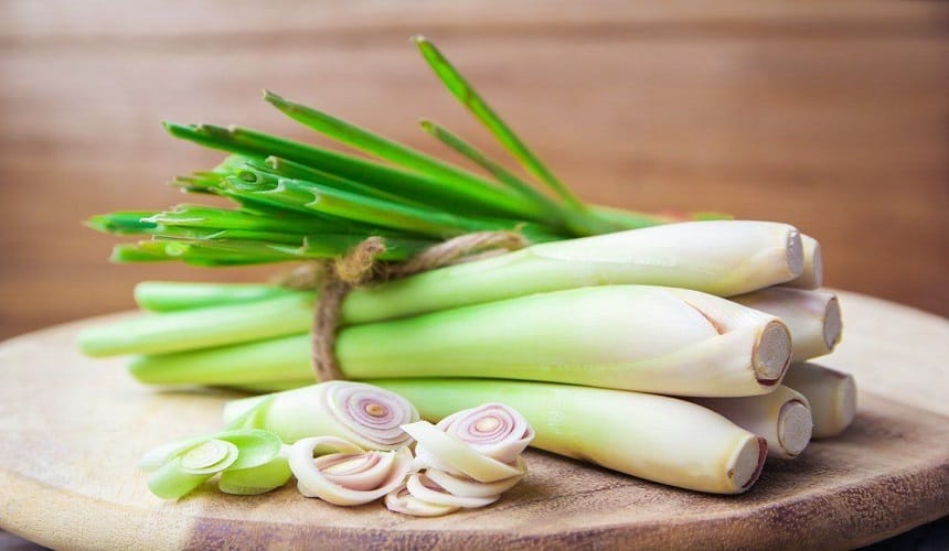 Tác dụng tuyệt vời của củ sả