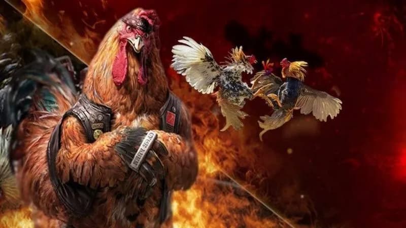 Tính Năng Đặc Biệt Chỉ Có Tại Đá Gà i9bet Khiến Anh Em Không Thể Rời Mắt