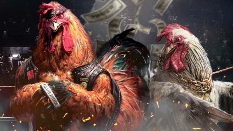 Tham Gia Ngay Những Thể Loại Đá Gà i9bet Kịch Tính Nhất Hiện Nay