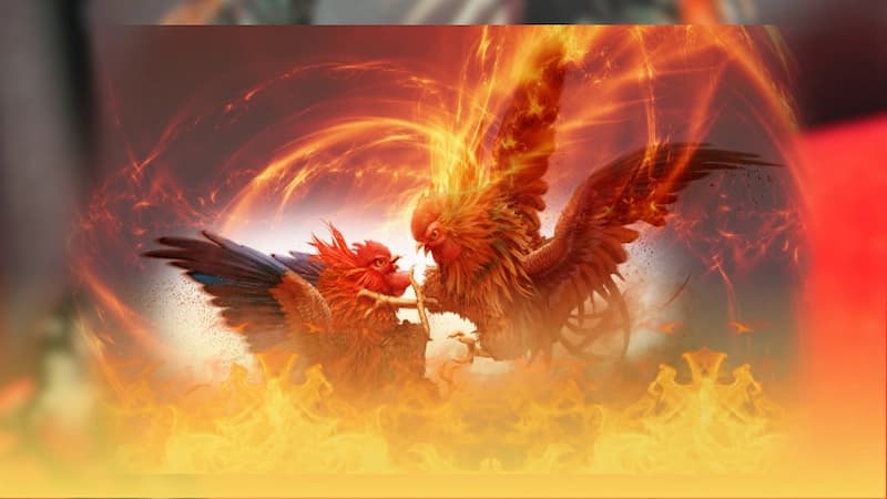 Kinh Nghiệm Vào Link Đá Gà i9bet An Toàn, Nhanh Chóng