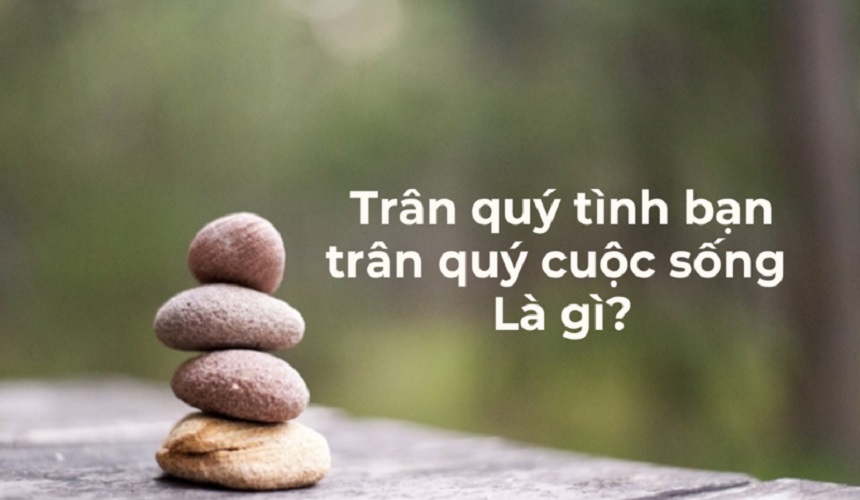 Những khía cạnh đáng trân quý trong cuộc sống
