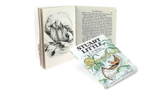 Review sách Stuart Little - một câu chuyện thiếu nhi dễ thương