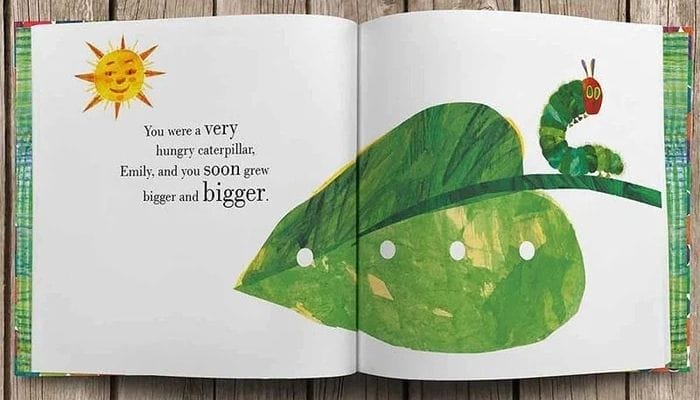 Thông tin cơ bản về sách The very hungry caterpillar và tác giả