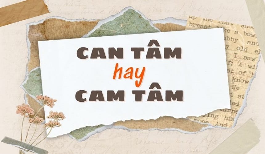 Cách sử dụng từ cam tâm trong văn học, trong đời sống