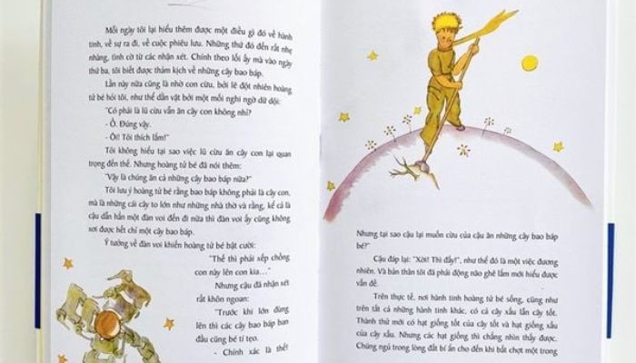 Nội dung của Hoàng Tử bé - chuyện ở tiểu hành tinh B612
