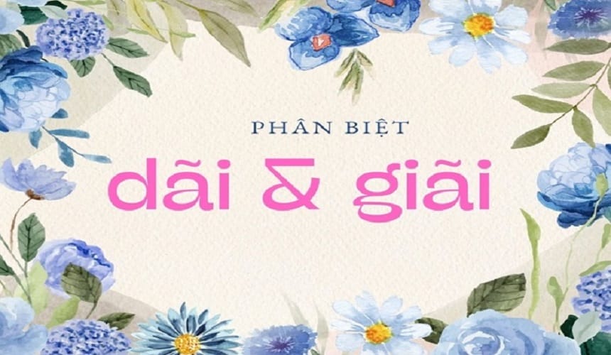 Lý do không nên dùng từ dãi bày