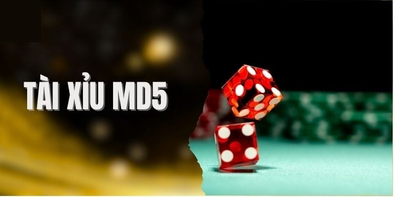 Thông tin sơ lược về game Tài Xỉu MD5