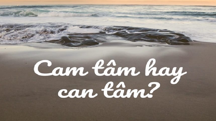 Ý nghĩa từ cam tâm là gì