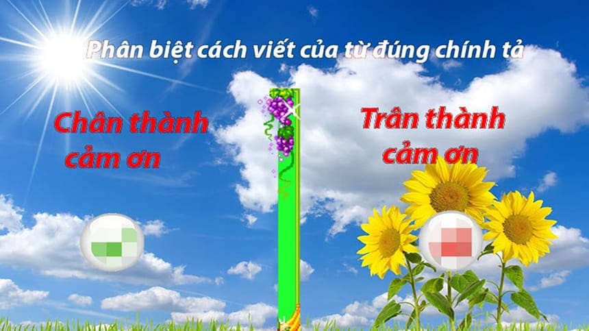 Chân thành cảm ơn hay trân thành cảm ơn