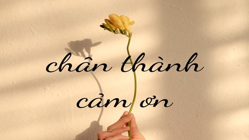 Chân thành cảm ơn là gì