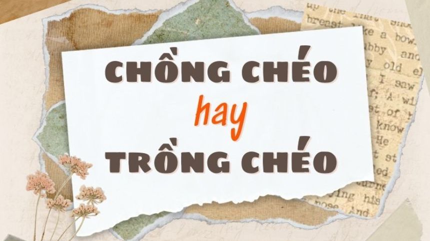 Chồng chéo hay trồng chéo? Gợi ý mẹo ghi nhớ đơn giản