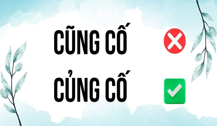 Cũng cố hay củng cố