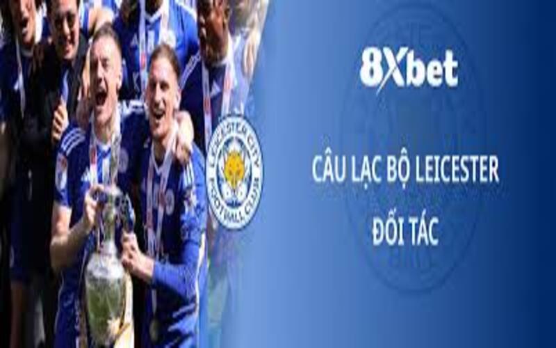 Tổng quan về 8XBET