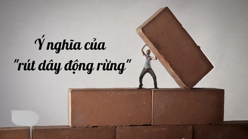Làm sao để tránh rút dây động rừng