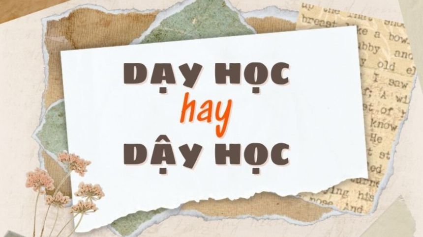Nên viết dạy học hay dậy học? Ý nghĩa thực sự của cụm từ “dạy học”