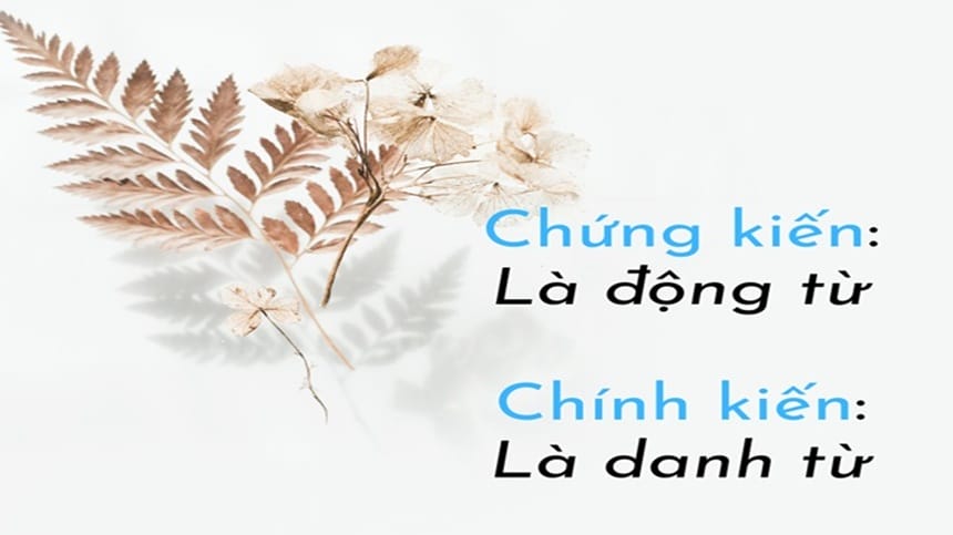 Phân biệt chứng kiến và chính kiến