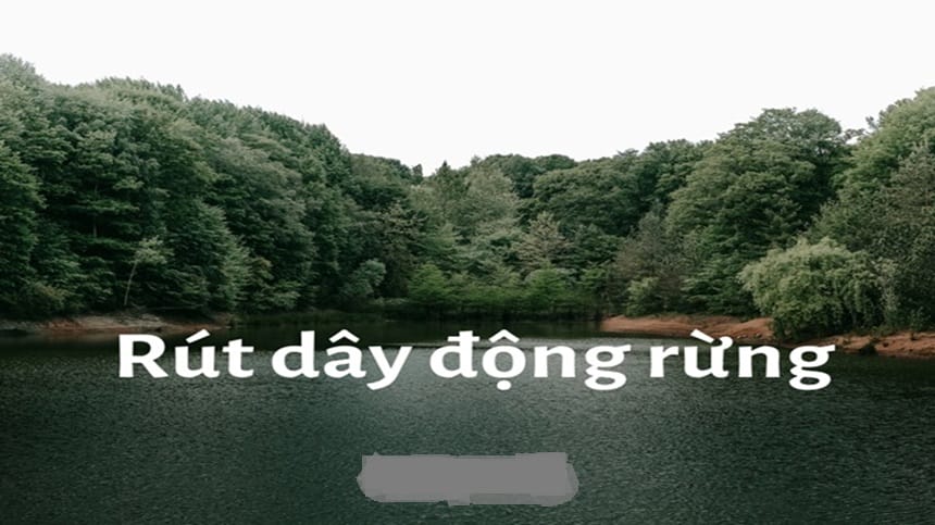 Rút dây động rừng hay rút dây động dừng