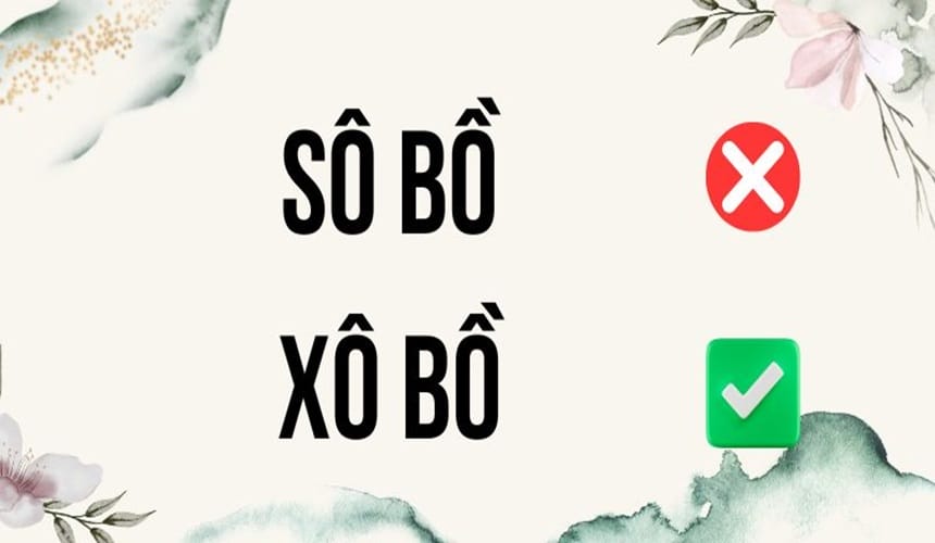 Vì sao nhầm lẫn giữa xô bồ và sô bồ