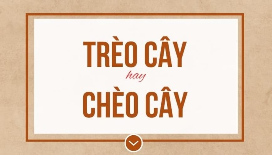 Góc nhìn ngôn ngữ học: vì sao “tr” và “ch” dễ gây nhầm?