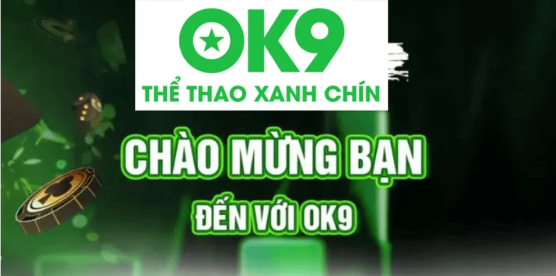 Hiểu Đúng Về OK9 Đăng Nhập Trước Khi Vào Tài Khoản