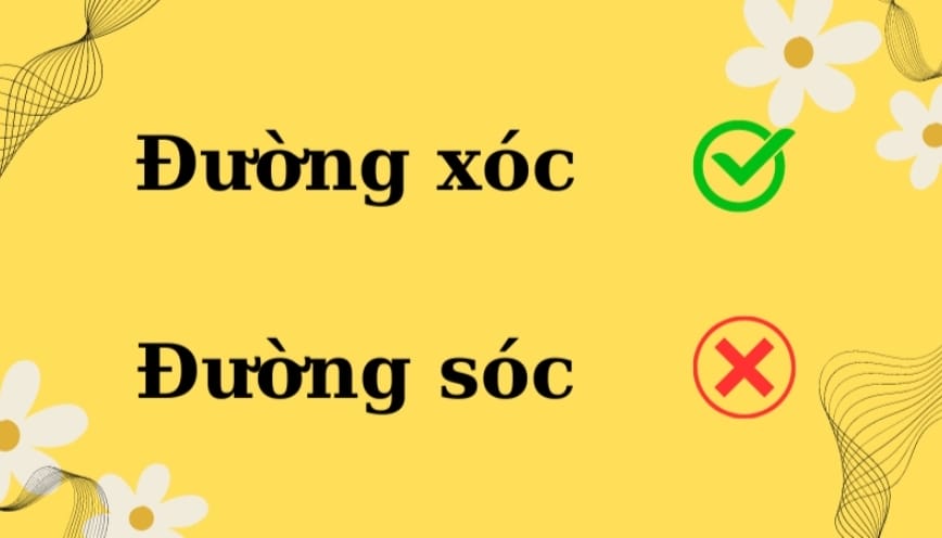 Lý do khiến nhiều người nhầm “đường xóc” thành “sóc”