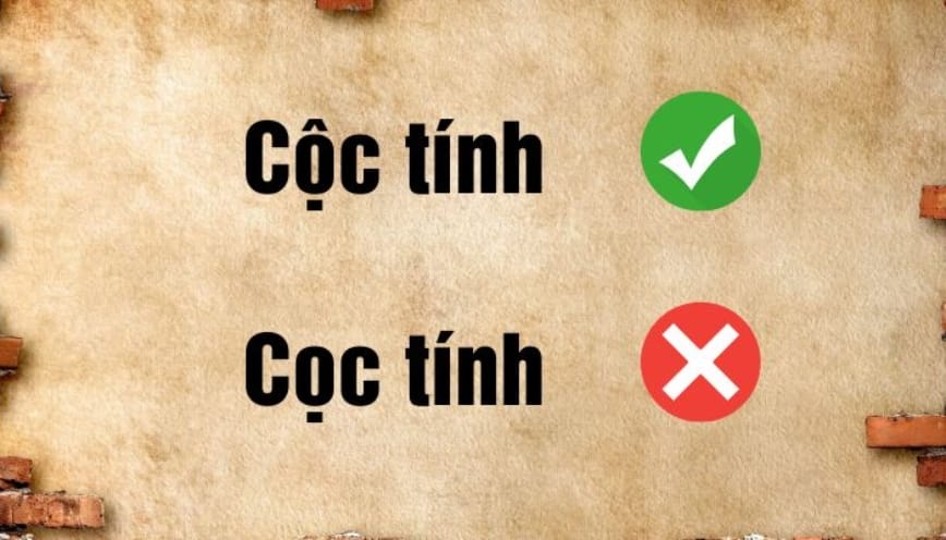 Lý do khiến từ “cộc tính” và “cọc tính” cùng xuất hiện