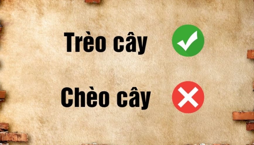 Sự khác biệt giữa hai loại ngôn ngữ nói - viết